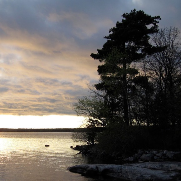 Meet your Posher, Nicholas - Picture 1 of 1